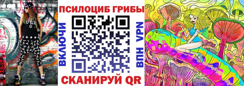 Галлюциногенные грибы мицелий  Купить где  Заинск 