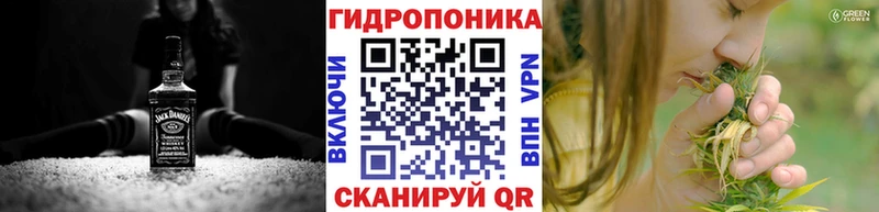 Канабис Ganja  Купить закладки  Заинск 